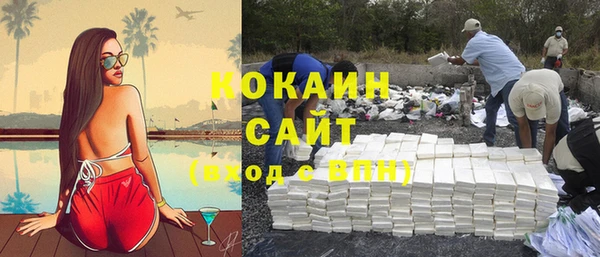шишки Пересвет