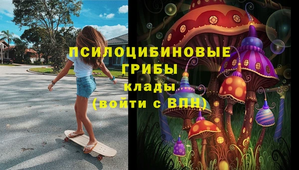 соль ск Пестово